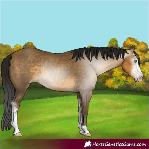 Horse Color:Gray Sable Cream Champagne Sabino Rabicano
