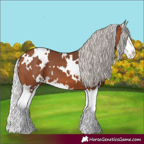 Horse Color:White Spotted Silver Brown Splash 