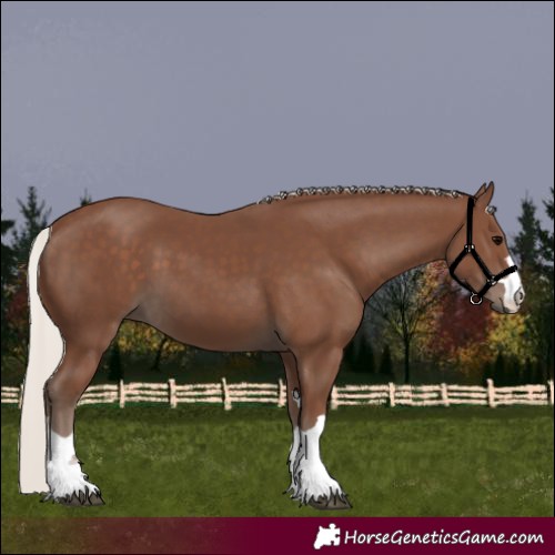 Horse Color:Silver Black 