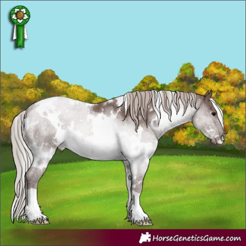 Horse Color:White Spotted Chocolate Silver Black 