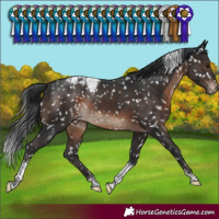 Horse Color:Brown Tobiano Snowcap Rabicano