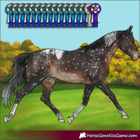 Horse Color:Brown Tobiano Snowcap Rabicano 
