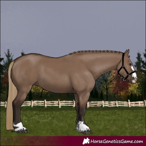 Horse Color:Liver Red Dun 