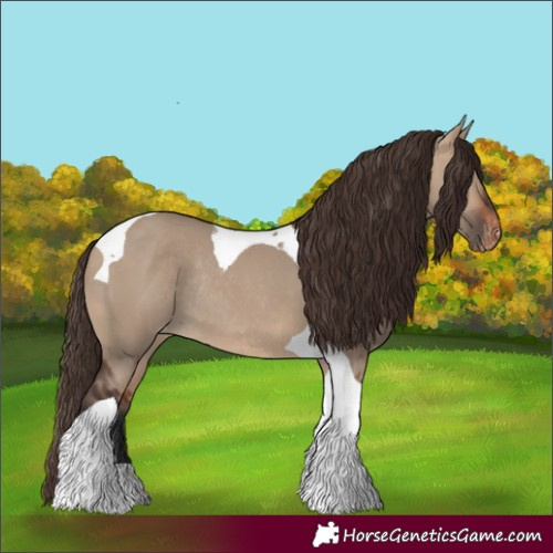Horse Color:Bay Dun Tobiano Skewed Appaloosa Rabicano
