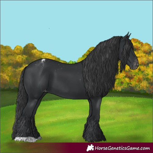 Horse Color:Black Varnish 