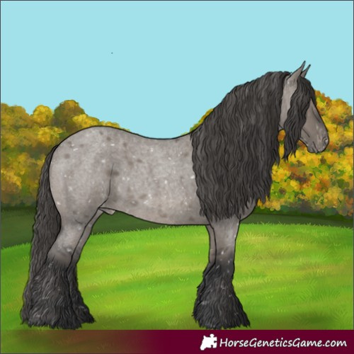 Horse Color:Grullo Roan Appaloosa Rabicano 