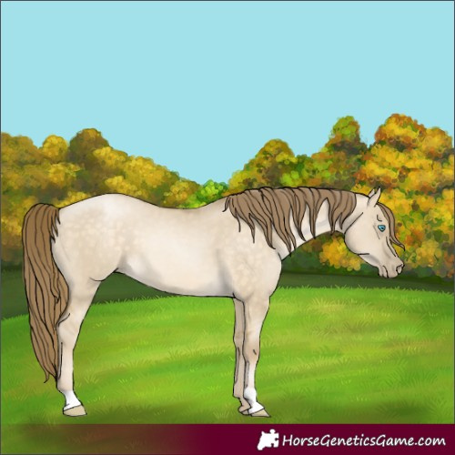 Horse Color:Buckskin Pearl Dun