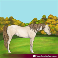 Horse Color:Buckskin Pearl Dun