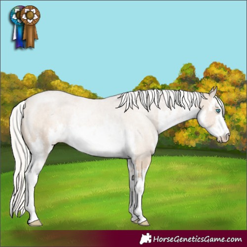 Horse Color:White Spotted Silver Smoky Creme 