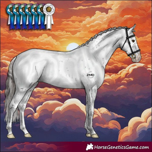 Horse Color:Liver Chestnut Sabino Appaloosa Rabicano
