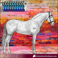 Horse Color:Liver Chestnut Sabino Snowcap Rabicano