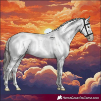 Horse Color:Liver Chestnut Sabino Appaloosa Rabicano