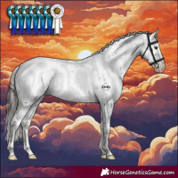 Horse Color:Liver Chestnut Sabino Snowcap Rabicano 