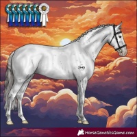 Horse Color:Liver Chestnut Sabino Appaloosa Rabicano