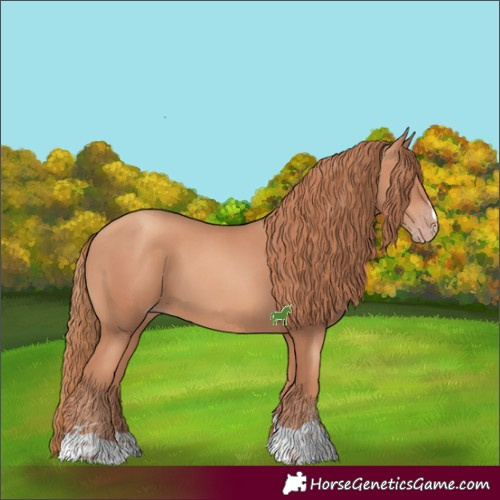Horse Color:Gold Champagne 