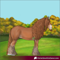 Horse Color:Chestnut Frame 