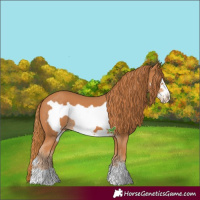 Horse Color:Chestnut Frame 