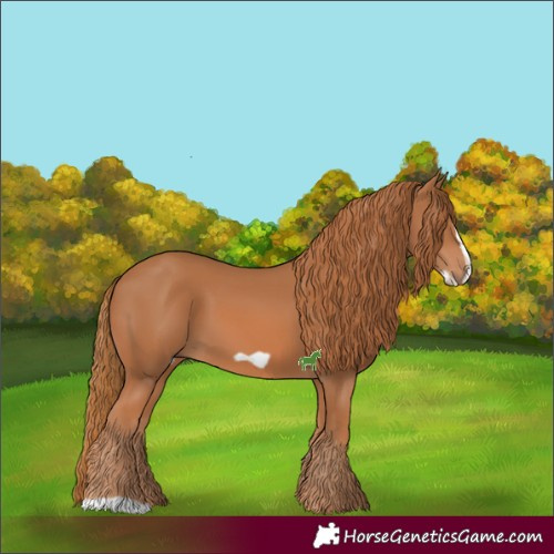 Horse Color:Chestnut Frame