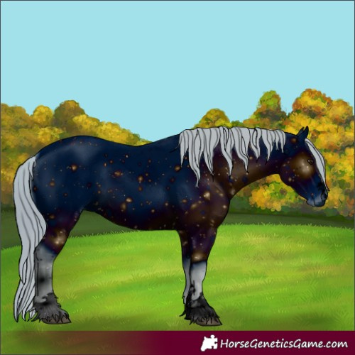 Horse Color:ERROR: UNKNOWN ANOMALY