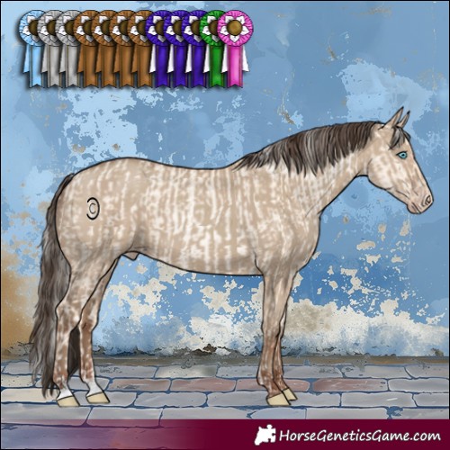 Horse Color:Gold Cream Champagne Pearl Dun Rabicano and Classic Champagne Dun