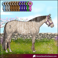 Horse Color:Gold Cream Champagne Pearl Dun Rabicano  and Classic Champagne Dun 