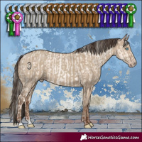 Horse Color:Gold Cream Champagne Pearl Dun Rabicano  and Classic Champagne Dun 
