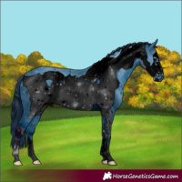 Horse Color:ERROR: UNKNOWN ANOMALY