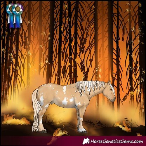 Horse Color:White Spotted Palomino Dun 