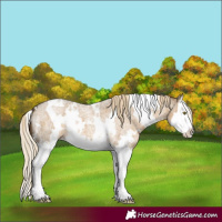 Horse Color:White Spotted Chocolate Palomino Roan Dun Splash 