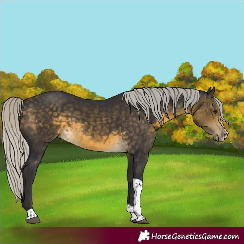Horse Color:Silver Buckskin Sabino Tobiano
