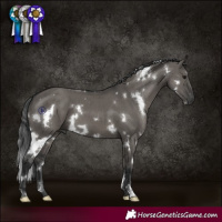 Horse Color:White Spotted Grullo Brindle