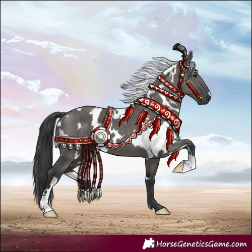 Horse Color:White Spotted Grullo Brindle 