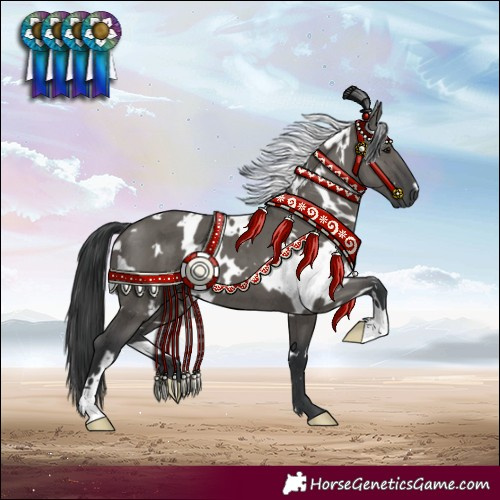 Horse Color:White Spotted Grullo Brindle 