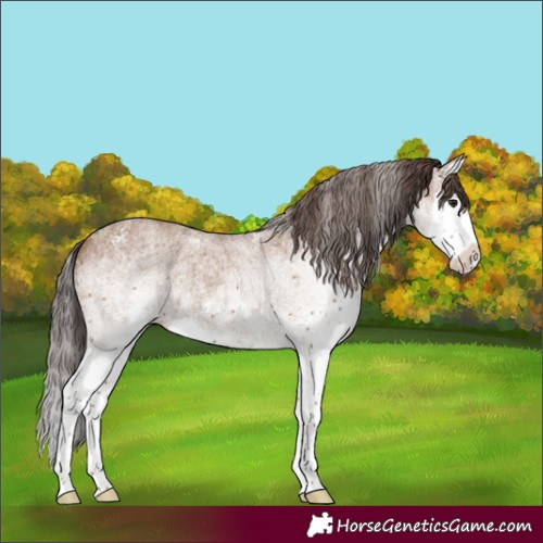 Horse Color:White Spotted Classic Champagne Splash