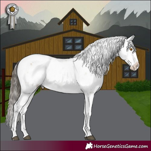 Horse Color:Buckskin Dun Sabino 