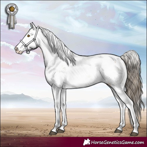 Horse Color:Buckskin Dun Sabino 