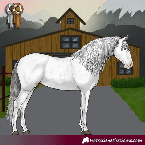 Horse Color:White Spotted Brown Dun Sabino Appaloosa 