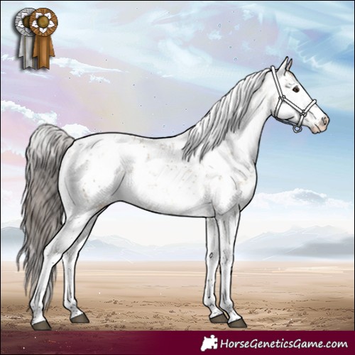 Horse Color:White Spotted Brown Dun Sabino Appaloosa 