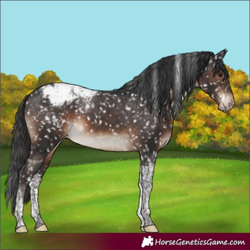 Horse Color:Brown Tobiano Snowflake Varnish