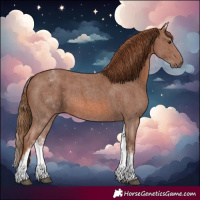 Horse Color:White Spotted Chestnut Sabino