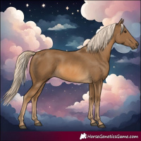 Horse Color:Chocolate Palomino 