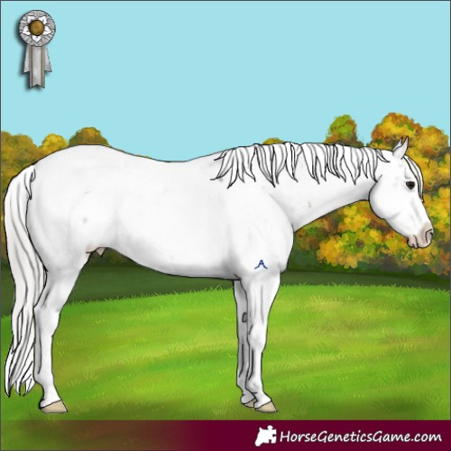 Horse Color:Silver Brown Sabino Rabicano 