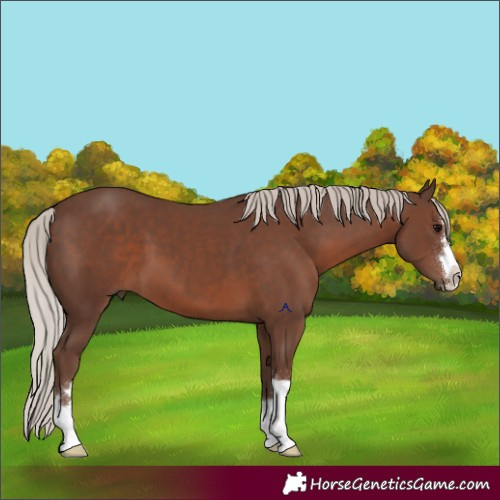 Horse Color:Silver Black 