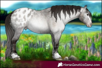 Horse Color:Gray Classic Champagne Ice Roan Onyx Blanket