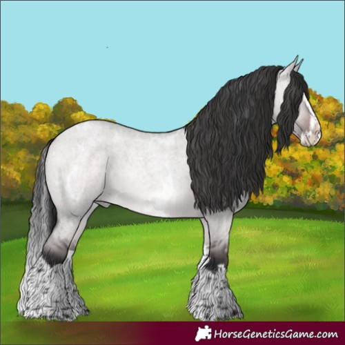 Horse Color:Platinum White Spotted Brown Roan Dun Splash Rabicano