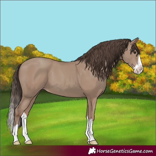 Horse Color:Classic Champagne Splash Frame 