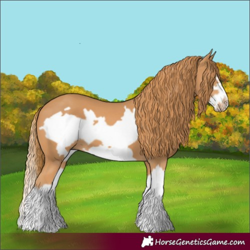 Horse Color:Chestnut Splash Frame 