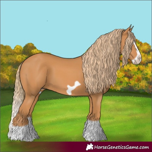 Horse Color:Chestnut Splash Frame 