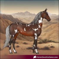 Horse Color:White Spotted Silver Brown 