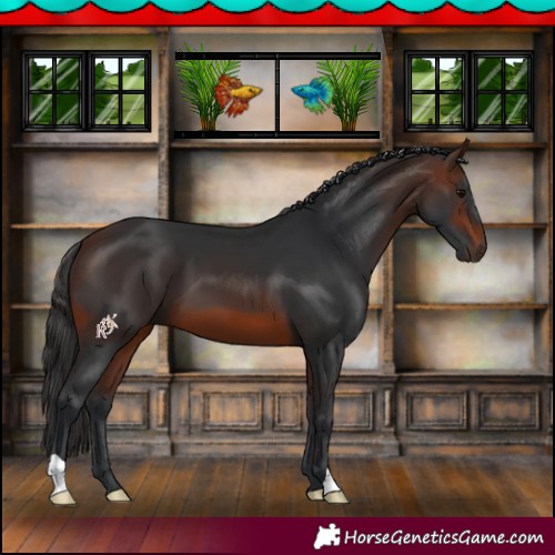 Horse Color:Brown 